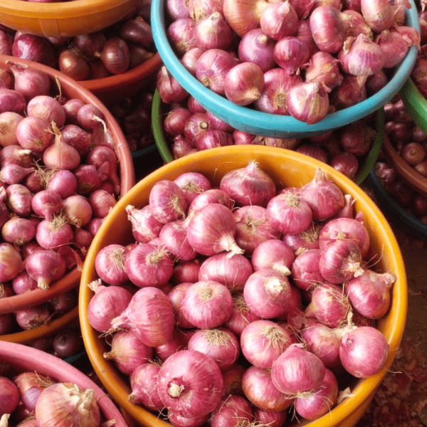 onion trader fro nashik