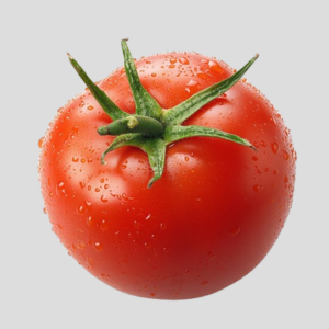 tomato supplier from nashik